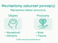 Mechanizmy zaburzeń percepcji: objawy (chmura w głowie, nierealność, odcięcie) i przyczyny (złote serce na dłoni, stres, trauma) wskazujące na oderwanie od rzeczywistości.