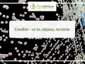 Candida objawy psychiczne: jak przerost grzybów wpływa na umysł