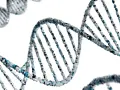 Struktura DNA, symbolizująca dziedziczność. Czy BPD jest dziedziczne? Genetyka może mieć wpływ na predyspozycje.
