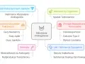 Schemat przedstawia przyczyny zaburzeń androgenowych, w tym choroby metaboliczne i hormonalne, nowotwory, genetykę, leki i starzenie się organizmu.