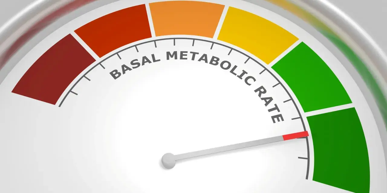 Wskaźnik tempa metabolizmu spoczynkowego. Czerwony obszar sugeruje, co to choroba metaboliczna, zielony to optymalny wynik.