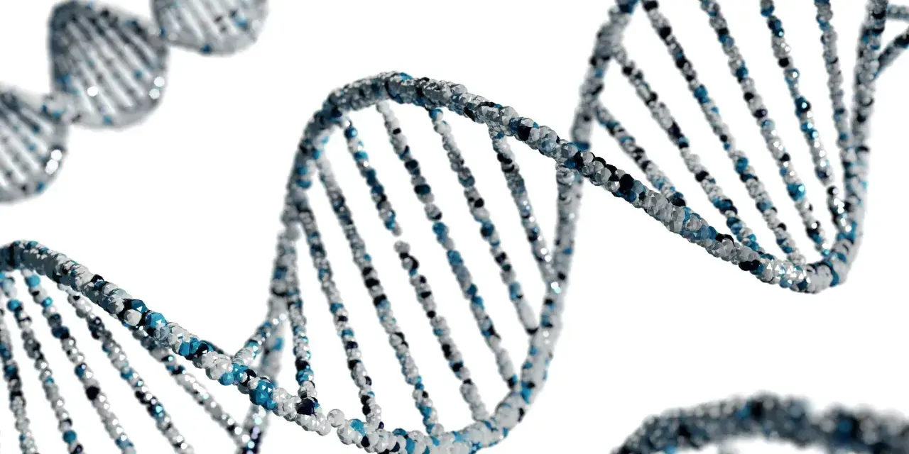 Struktura DNA, symbolizująca dziedziczność. Czy BPD jest dziedziczne? Genetyka może mieć wpływ na predyspozycje.