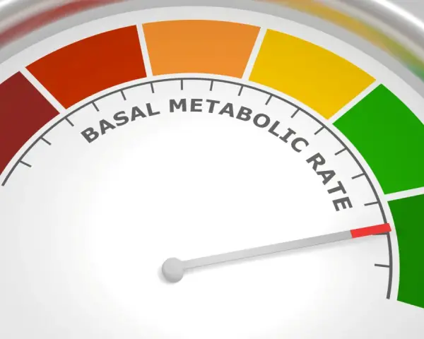 Wskaźnik tempa metabolizmu spoczynkowego. Czerwony obszar sugeruje, co to choroba metaboliczna, zielony to optymalny wynik.