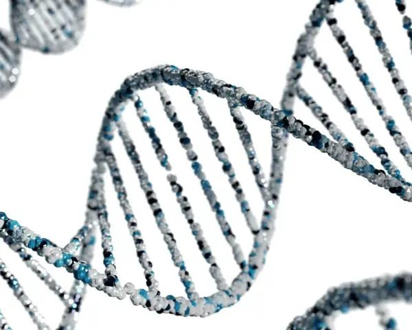 Struktura DNA, symbolizująca dziedziczność. Czy BPD jest dziedziczne? Genetyka może mieć wpływ na predyspozycje.