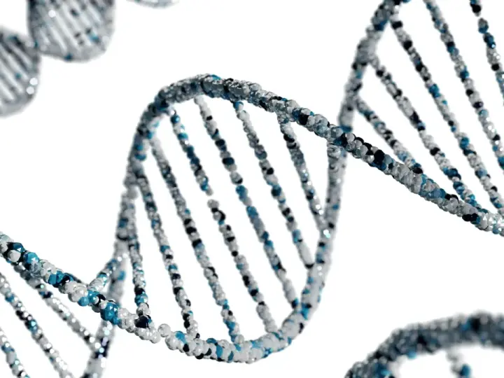 Struktura DNA, symbolizująca dziedziczność. Czy BPD jest dziedziczne? Genetyka może mieć wpływ na predyspozycje.
