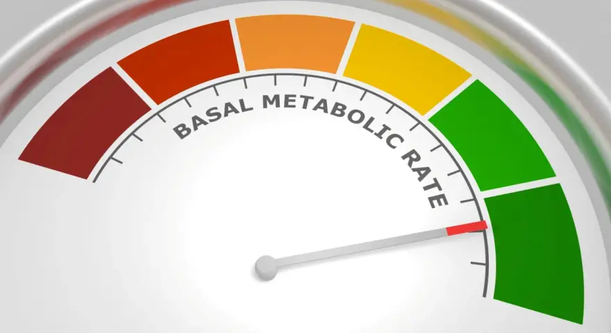 Wskaźnik tempa metabolizmu spoczynkowego. Czerwony obszar sugeruje, co to choroba metaboliczna, zielony to optymalny wynik.