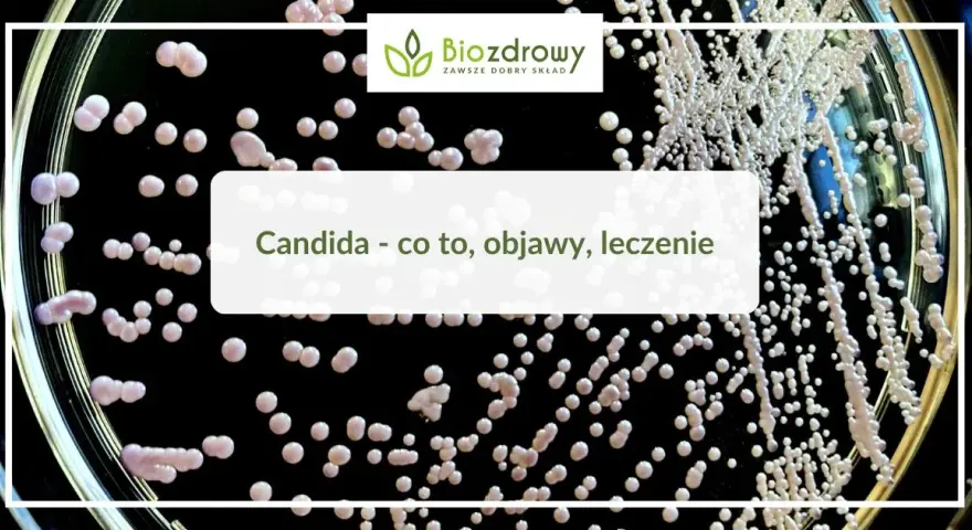 Candida objawy psychiczne: jak przerost grzybów wpływa na umysł
