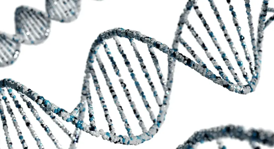 Struktura DNA, symbolizująca dziedziczność. Czy BPD jest dziedziczne? Genetyka może mieć wpływ na predyspozycje.