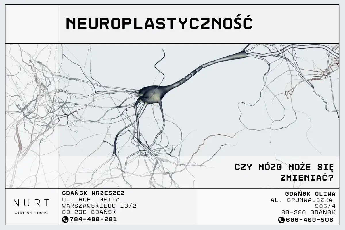 Neuroplastyczność mózgu. Czy sertralina działanie na mózg może pomóc w zmianach? Neurony w tle.